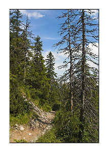 Heute mal richtig bequeme Wanderwege