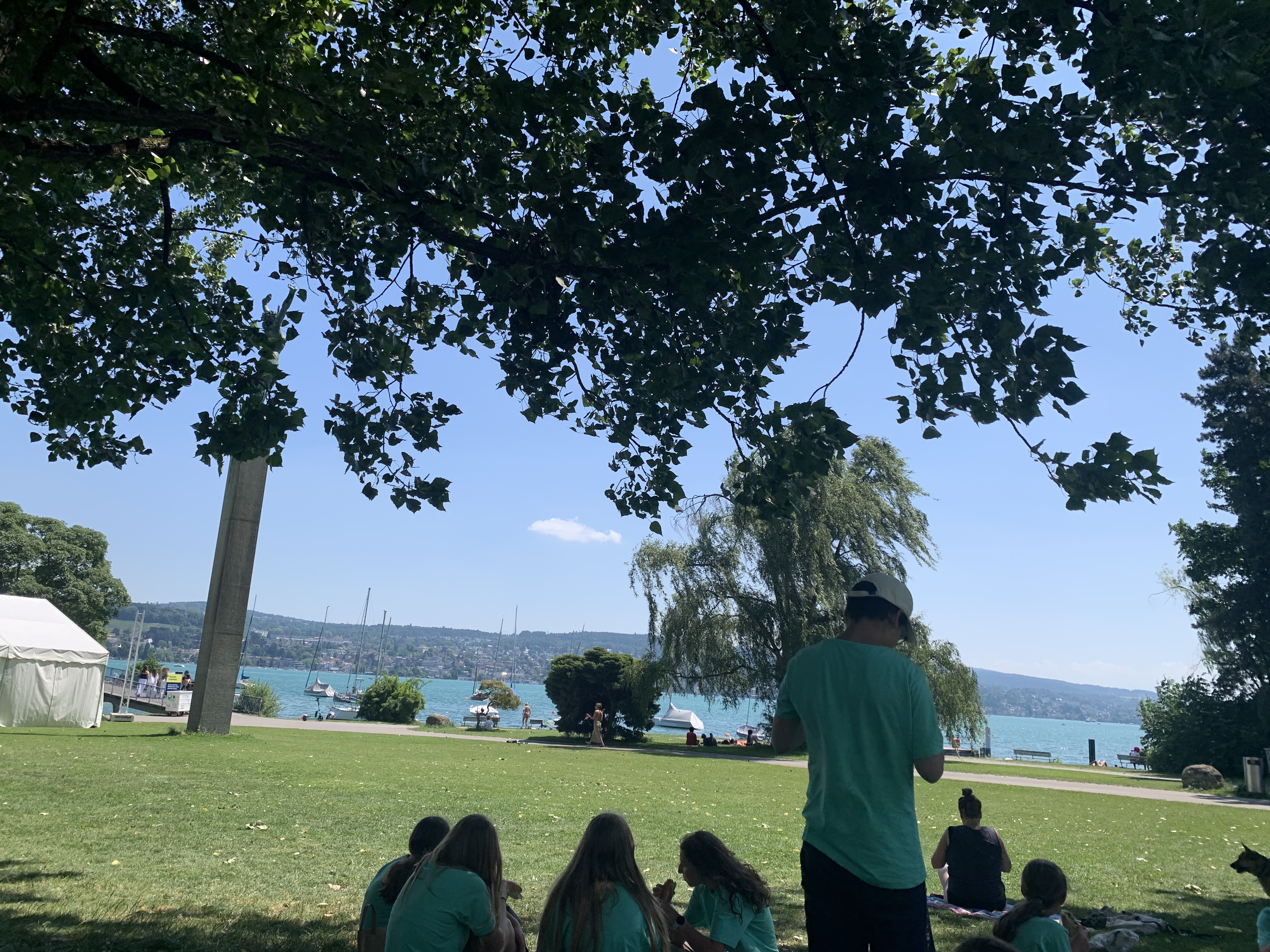 Am Zürichsee